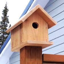 Diy Easy Wooden Birdhouse Free Plan
