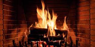 Best Wood For Fireplace Comfort