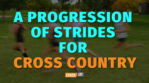 a middle cross country training