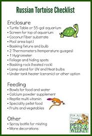 Your Guide To Russian Tortoises Reptilecare Turtle