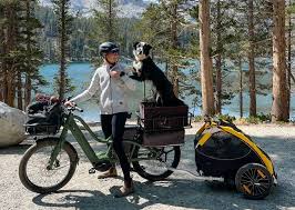 Корзины для собак на велосипед — Pet-Trips