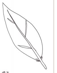 Dreamcatcher with various feathers for coloring page. Feathers Coloring Page Coloring Home