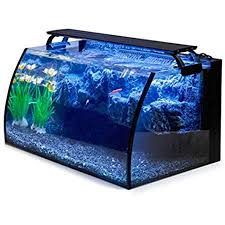 Amazon Com Fluval Edge 6 Gallon Aquarium With 21 Led Light Black Fish Tanks And Aquariums Pet Supplies Betta Fish Tank Fish Tank Glass Fish Tanks