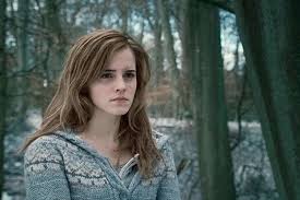She, along with ron weasley, is one of harry potter's closest friends. Hermione Granger 10 Reasons Why Your Fave Is Problematic Sophia Ismaa