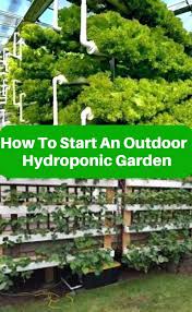 Outdoor Hydroponics How To Start An