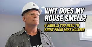 Why Does My House Smell 6 Smells You