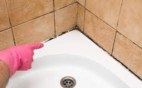 Smell Of Mold In Your Bathroom