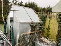 How To Keep My Greenhouse Frost Free