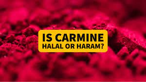 is carmine halal can muslims eat it 2024