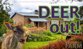 How To Keep Deer Out Of Garden With
