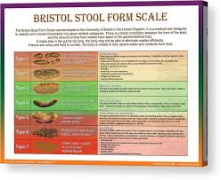 Bristol Stool Form Scale Acrylic Print