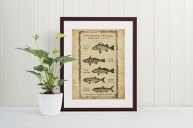 Game Fish Poster Vintage Fish Wall Art