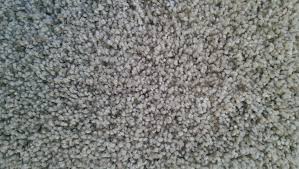carpet millcreek flooring