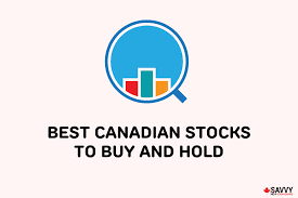 13 best canadian stocks to in july 2023