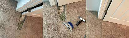 carpet repairs steam n dry expert