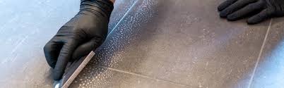 services by clearwater carpet cleaning