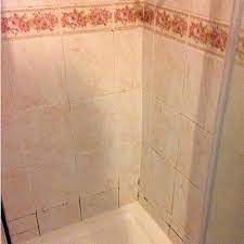 Existing Shower Cubicle