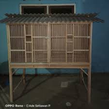 Kandang ayam bangkok kandang yang baik adalah kandang yang dapat menjadi tempat hidup nyaman bagi ayam jika anggarannya tidak ada, pagar juga bisa dibuat dari bambu atau kawat. Jual Kandang Ayam Bangkok Di Kabupaten Bekasi Harga Terbaru 2021