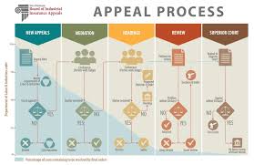 Steps Of The Appeal Process Icon Flowchart Appeals Flow