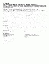 Resume Example Cover Letter Healthcare General Job Application
