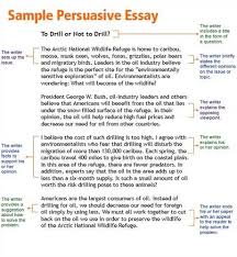 Argumentative essay structure 