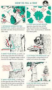How to Fell a Tree | The Art of Manliness