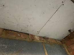 Where Should You Look For Asbestos In A
