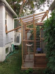 Catio Outdoor Enclosure For Your Cat