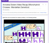 Alleles, genotypes, and monohybrid crosses. Punnett Square Monohybrid Cross Worksheets Teaching Resources Tpt