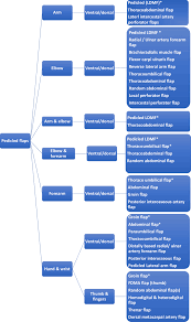 Flow Chart Of Algorithm For Reconstruction Of Upper Limb
