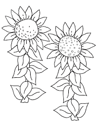 Mawar, tulip, matahari, sakura, anggrek, melati, sepatu dll. Ilustrasi Gambar Bunga Matahari Hitam Putih