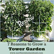 grow an aeroponic tower garden review