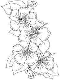 All hibiscus flower coloring page pages free printable with. Hibiscus Flowers 3 Coloring Page Free Printable Coloring Pages For Kids