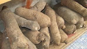 Image result for yam