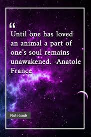 All changes, even the most longed for, have their melancholy; Amazon Com Until One Has Loved An Animal A Part Of One S Soul Remains Unawakened Anatole France Notebook With Unique Universe Touch Pet Quotes Journal Notebook 120 Pages 6 X9 9798694105859 Lopez