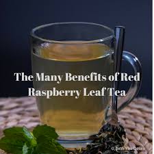 benefits of red raspberry leaf tea