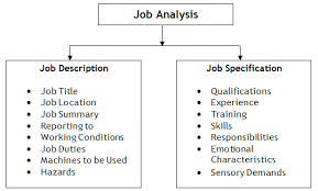 job description job specification