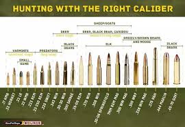 Hunting With The Right Caliber Hunting Guns Hunting
