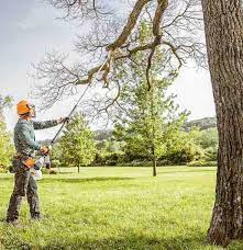 Some of the services we provide include removing eyesores and ensuring that others do not become one too. Tree Cutting Services By Tree Cutting Pros