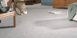 shaw carpet flooring reviews and s