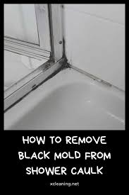 cleaning shower mold