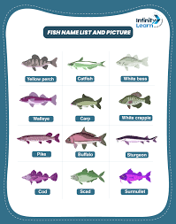 list of 100 fish names in english