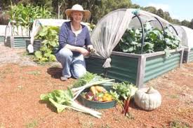 Raised Garden Beds In Perth Region Wa