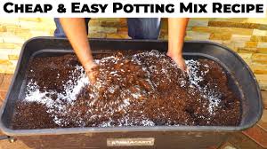 potting mix vs potting soil