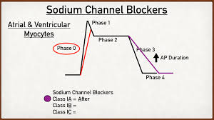 sodium channel blocker cation