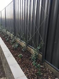 Vertical Garden Fence Plants