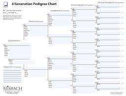 family tree chart templates poster