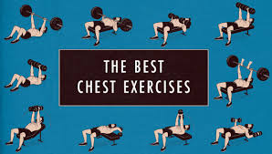 chest exercises for building muscle