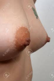 A Closeup Of A Female Breast, 36-inch, B-cup Stock Photo, Picture and  Royalty Free Image. Image 16882610.