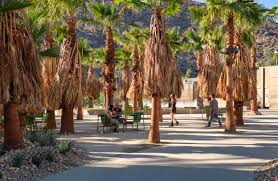 palm springs downtown park looks